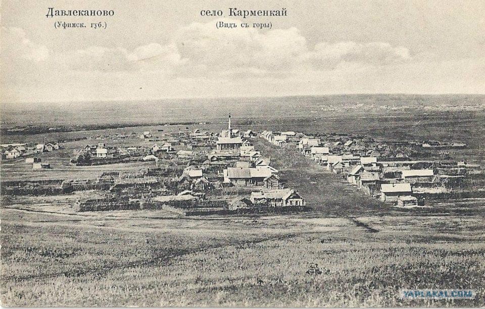 Лесов нет
