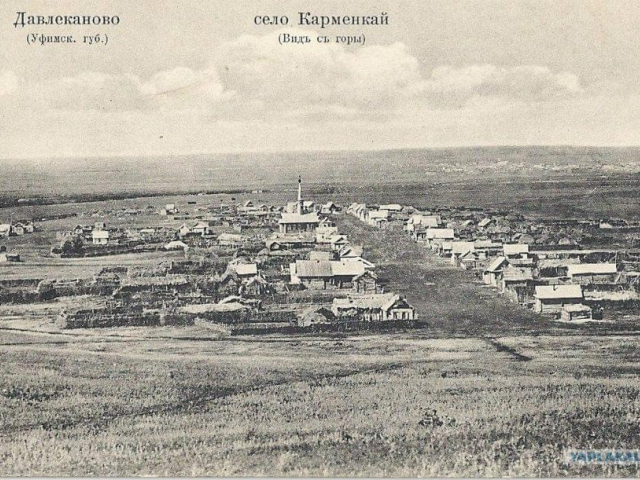 Где старые леса? Почему на фотографиях XIX века — руины и молодые деревья