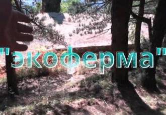 Козий форт