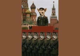 А тебе - нравится смотреть Парады на красной площади?