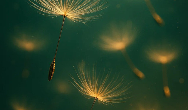 Они хотели нас закопать - но не знали, что мы - семена!...