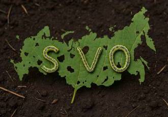 В нашем саду - неведома напасть... Кто подскажет - как избавиться?