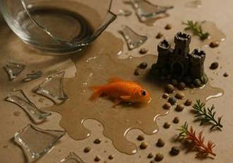 Что такое свобода?