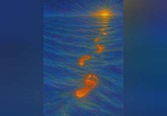 Почему, несмотря на огромный багаж научных знаний, никто так и не смог 