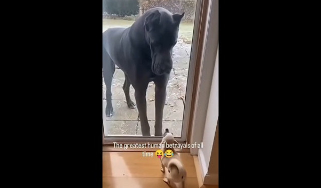 Казалось бы, причем тут Медведев и его угрозы Трампу...