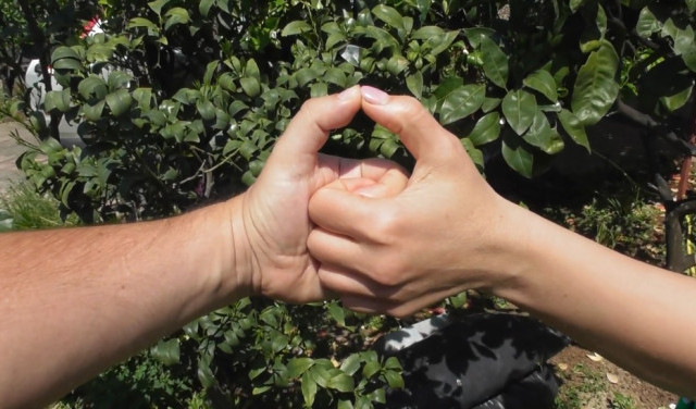 Мудра гармонизации М и Ж - купол для двоих